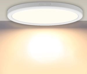 LED Plafondlamp 1350 Lumen 2700k Ø22cm Wit Rond18W