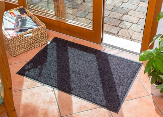 Schoonloopmat 60 × 80 – Antractiet - Afbeelding 4